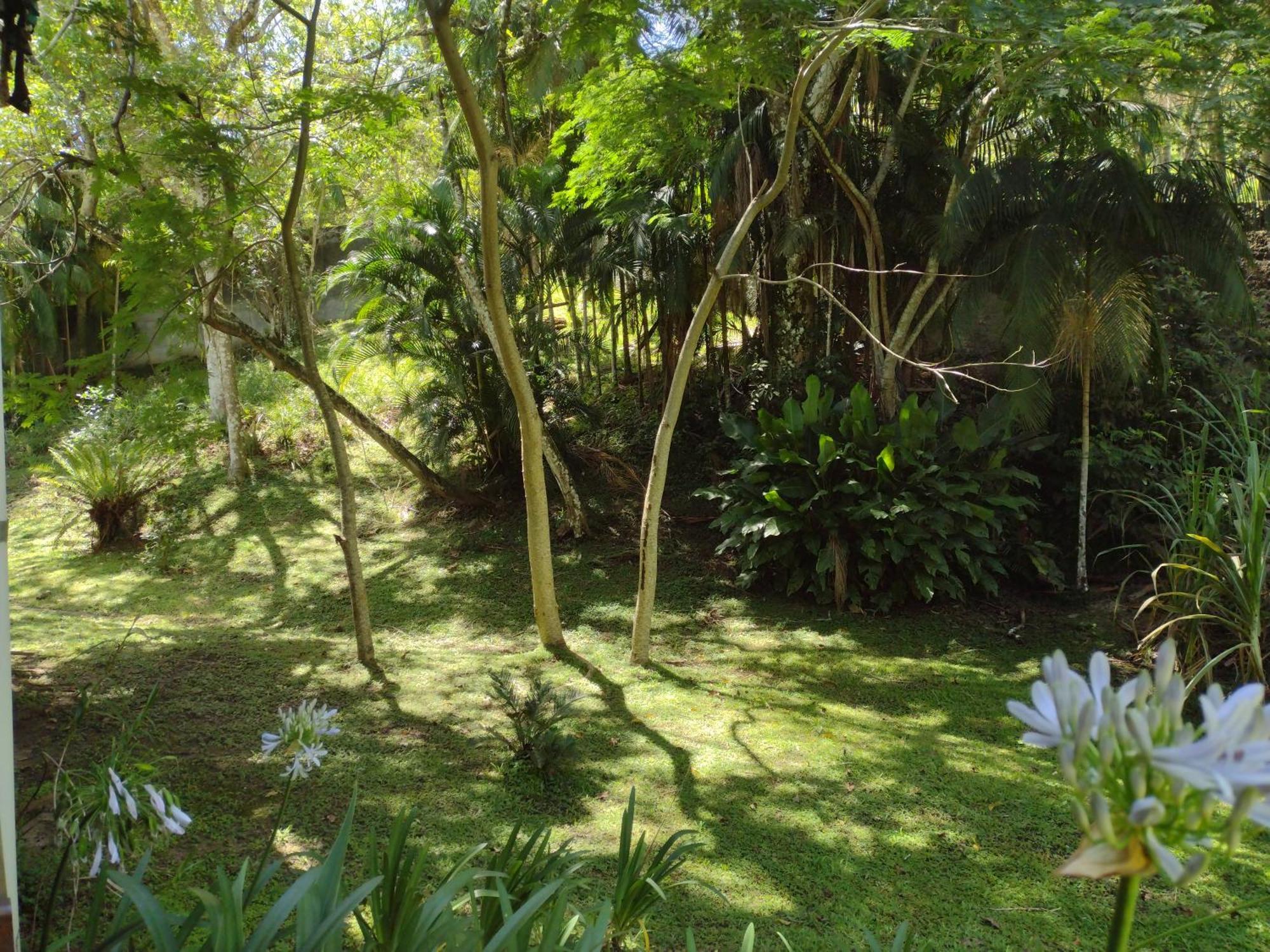 Casas Porto Belo, Recanto Em Meio A Natureza E Proximo A *